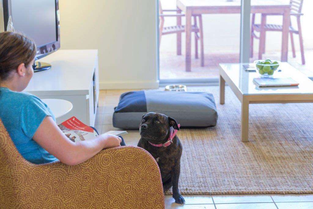 Nesuto Geraldton Aparthotel Amenities photo